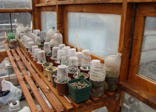 十二卷的闷养技巧 十二卷的闷养技巧