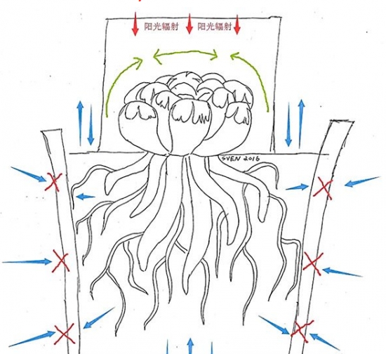 闷养在家庭中的应用 闷养在家庭中的应用