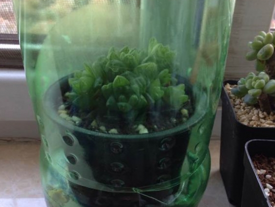 十二卷的闷养 十二卷的闷养