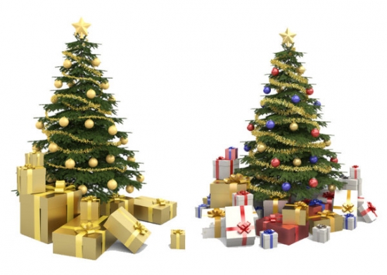 关于圣诞节的植物 关于圣诞节的植物