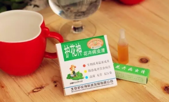 往花盆了加3样东西,轻松杀灭小黑飞 往花盆了加3样东西,轻松杀灭小黑飞