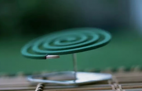 往花盆了加3样东西,轻松杀灭小黑飞 往花盆了加3样东西,轻松杀灭小黑飞