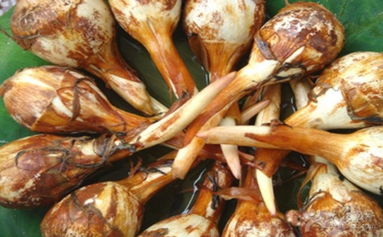 茨菰是什么 茨菰是什么