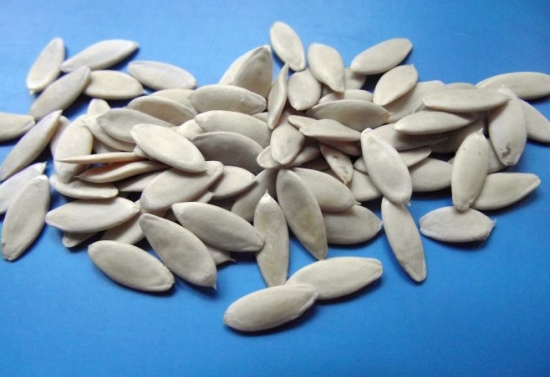 黄瓜种子 黄瓜种子