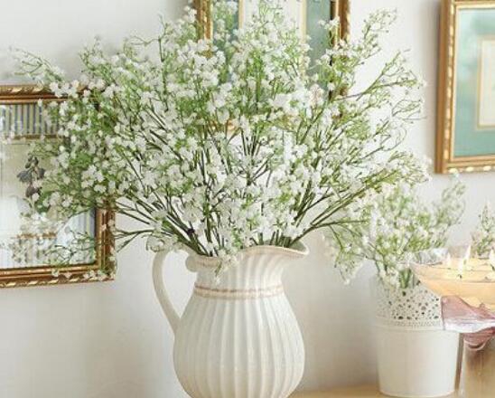 满天星叶子蔫了怎么办?三种方法让它恢复生机