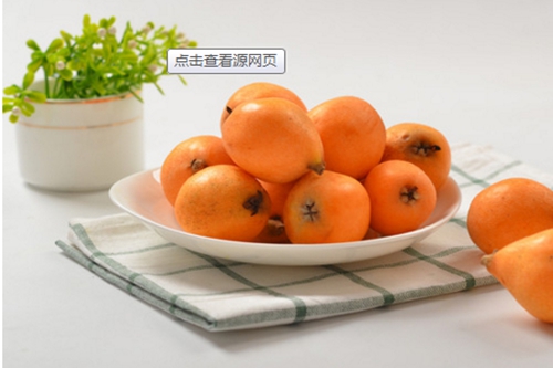 什么季节适合栽培菩提树,菩提树种植和播种的方法有哪些