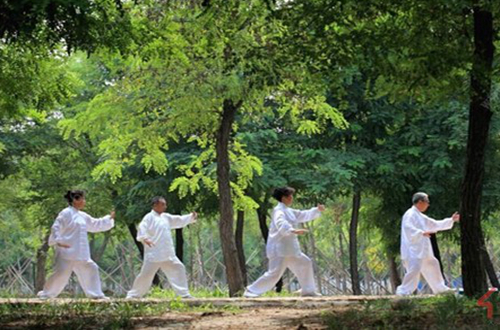 一种有毒而又美丽的黄毛茛长什么样