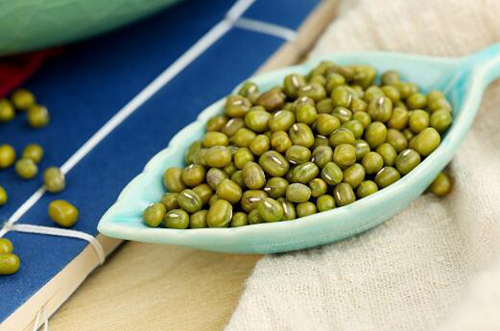 芦荟分布在哪里,怎么种植芦荟