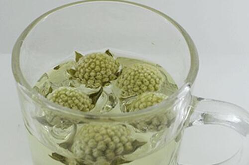 花木蓝的种植方式是什么呢?