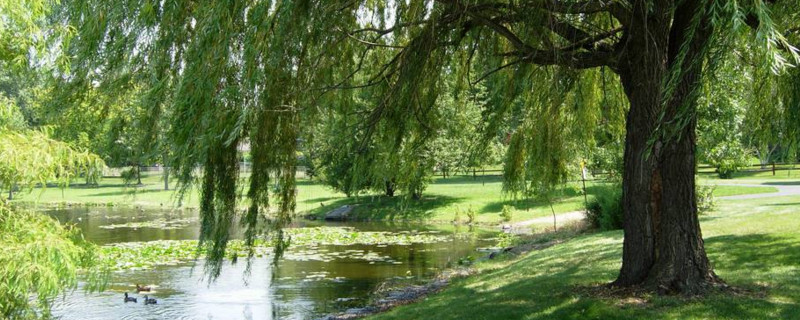 黑龙江冰雪草原美景吸引众多游客前来观赏