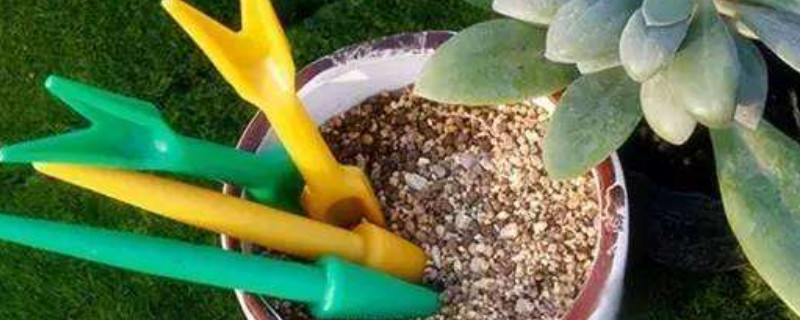 养花种菜缺不了浇水,掌握这几个浇水的技巧原则 受用一辈子