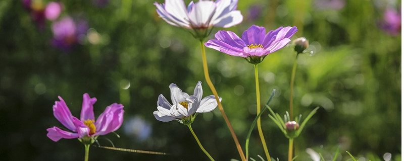 "2023年鬼节是哪一天?了解一下这个传统节日"