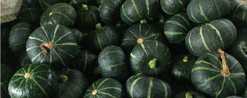 简单易学的火龙果切法。