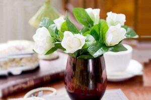 喜光植物和耐阴植物的特点及其养护方法