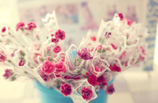 石榴花花语是啥?