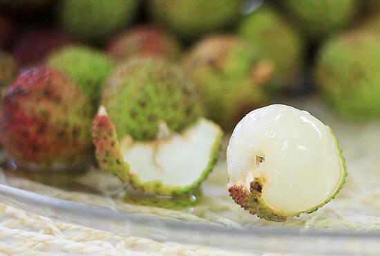 绿色养花:探索可持续发展的花卉种植方法