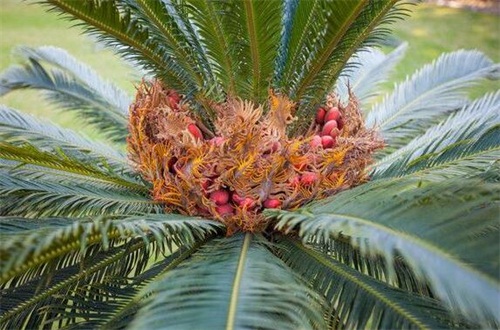 植物对防止水土流失的意义