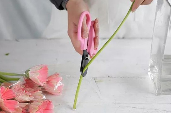 十字剪花根怎么剪