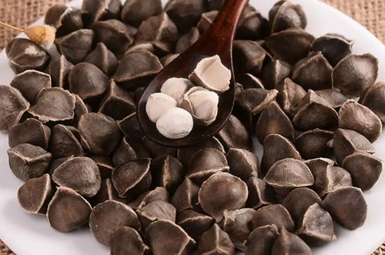 辣木籽几月份种植