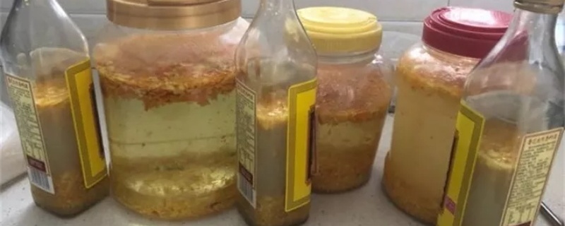 果皮怎么发酵做成肥料?