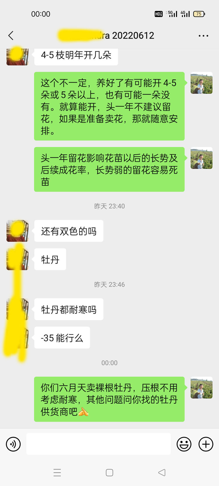 牡丹六月份移栽?考虑牡丹是否耐寒多余! (3).jpg