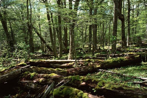 多肉和啵啵有什么特别的养护技巧?