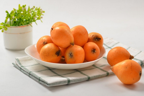 什么季节适合栽培柠檬树,柠檬树种植和播种的方法有哪些