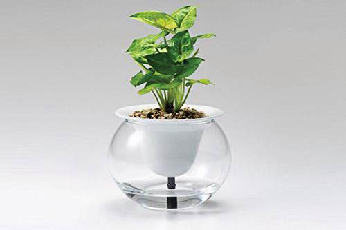 种植技巧:注意春季蔬菜的种植时间和方式