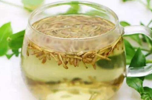 藿香蓟的养殖方法和注意事项