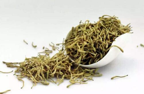 罗密欧怎么养,养罗密欧要注意些什么