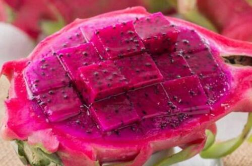 鸭掌木的养护技巧:学会正确浇水、施肥和修剪