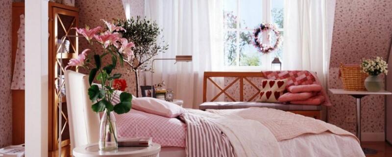 蝴蝶梅怎么养,叶子黄了怎么办