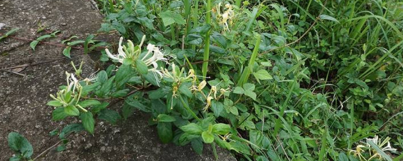 照顾bet365365体育
的正确方法