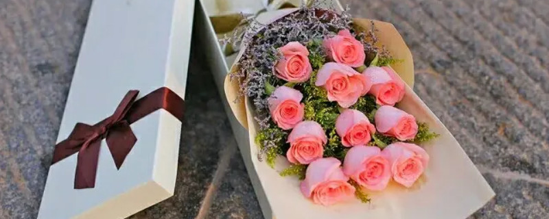 十三朵玫瑰代表什么意思