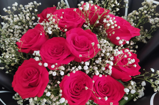 十三朵玫瑰代表什么意思