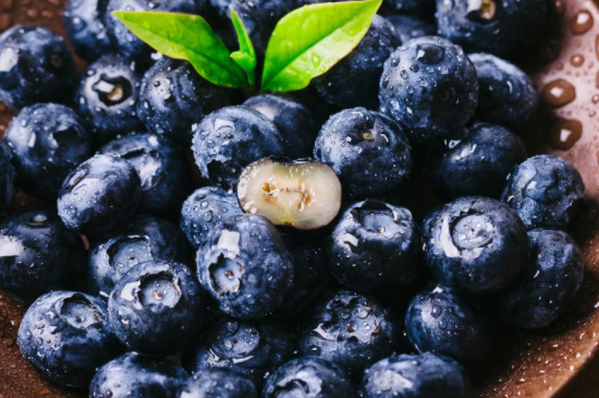 什么品种的蓝莓耐寒