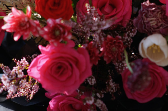 弗洛伊德玫瑰花语和寓意