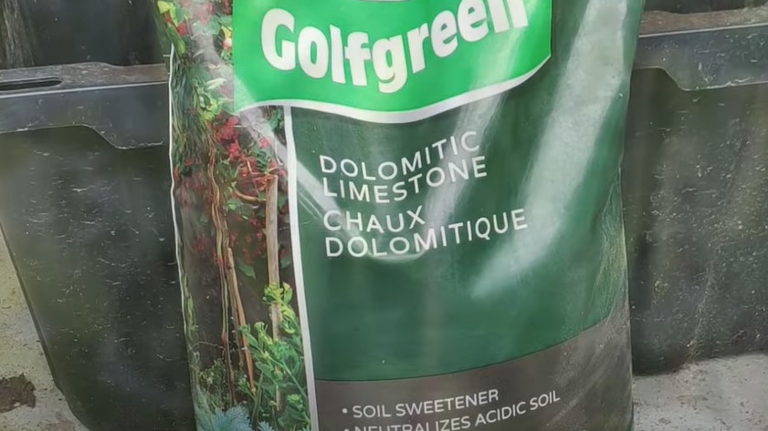 花園石灰是用來提高酸度高土壤pH值的石粉。 石灰的應用會“使土壤變甜” - 也就是說,它可以使“酸性”土壤變得鹼性。(圖片:溫村東哥 Life Hacks)