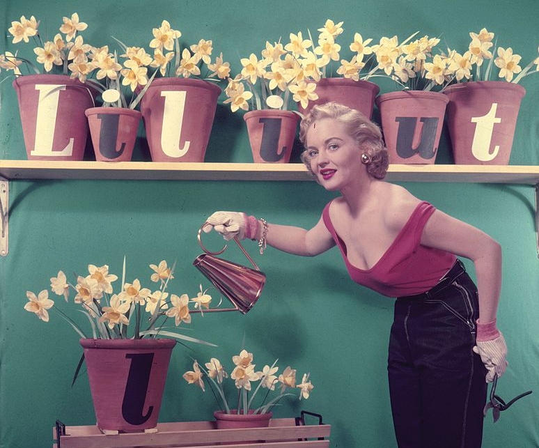 盆栽浇水 (图片:Hulton Archive/Getty Images)