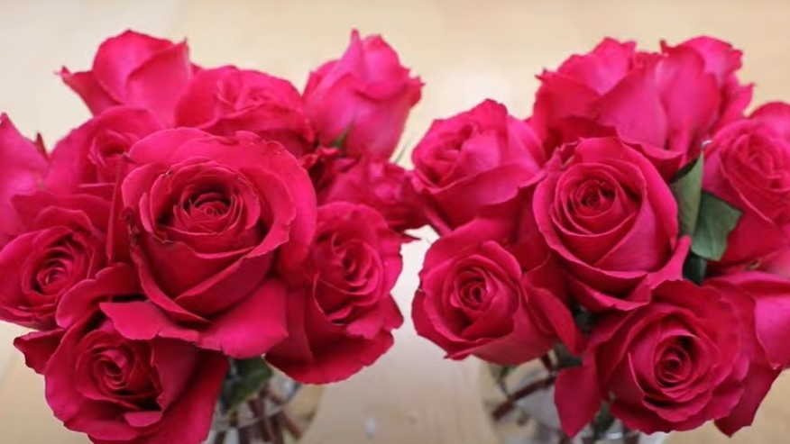 阿司匹林里面的乙酰水杨酸有抑制乙烯产生的作用,可以让鲜花更长时间保持鲜艳,开花期可延长大约7-10天。(墨澜时光视频截图)