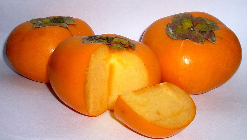 日本柿子 (Nesnad/Wikimedia Commons, CC BY-SA 3.0)