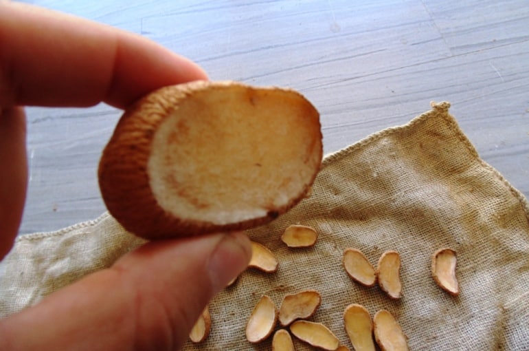 种植马铃薯要注意哪些问题,间距要隔多少距离。