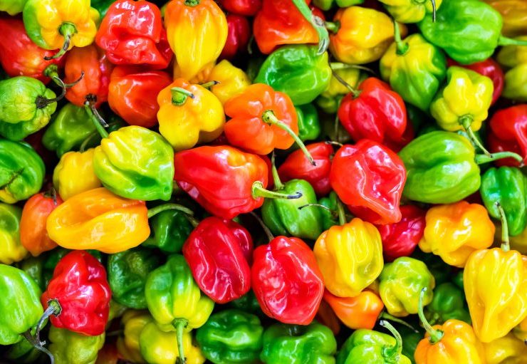 常吃辣椒对身体有哪些好处