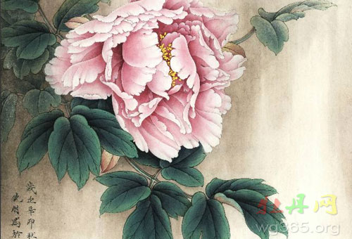 牡丹花下死,做鬼也风流 牡丹花下死,做鬼也风流