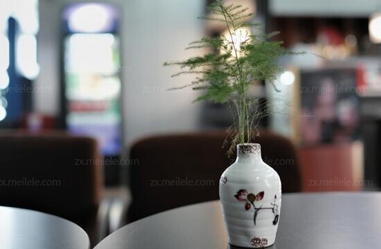 文竹长出长藤怎么造型，四种方法教你打造完美文竹盆景