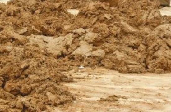 四季碗莲种植方法，手把手教你种植碗莲(4个步骤)