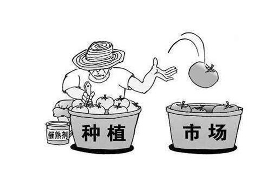 实用技巧|怎样辨别水果是不是催熟的