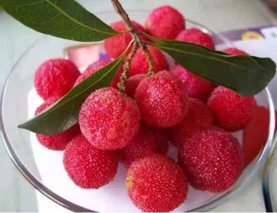 杨梅核可以吃吗，不能/会肠胃出血和肠梗阻