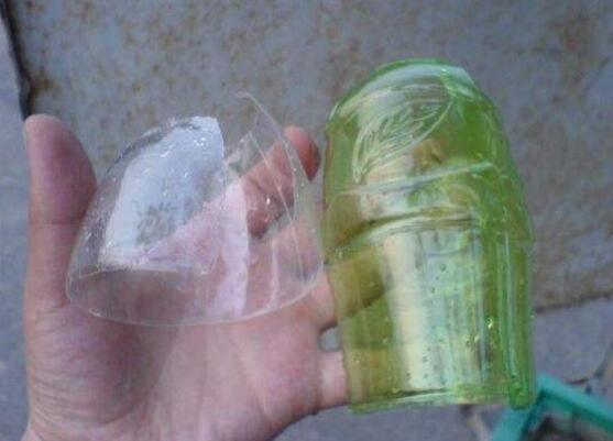 栀子花压枝多久生根，半个月就能生根(附详细步骤)