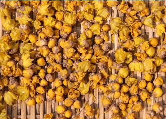 腊梅可以泡茶吗，可以/体虚和孕妇不能饮用